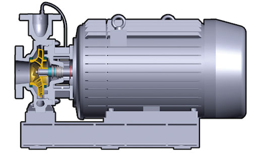 Close Coupled Pumps Look Like